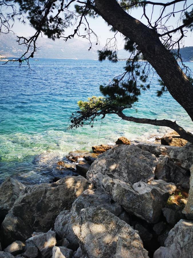 Villa BOSNA proche Dubrovnik piscine privative, Jacuzzi Ivanica Esterno foto